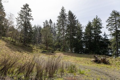Two tax lots offering excellent potential with substantial - photo 9