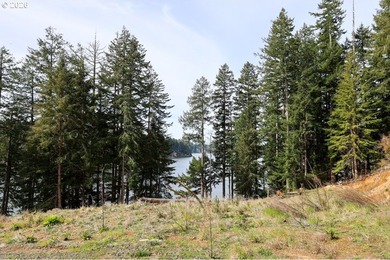 Two tax lots offering excellent potential with substantial - photo 10