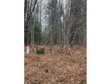 Rice Lake - Houghton County Lot For Sale in Lake Linden Michigan