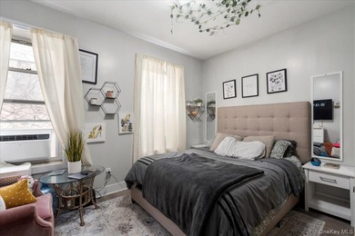 Investment opportunity in Brooklyn POTENTIAL TO BE DELIVERED - photo 10