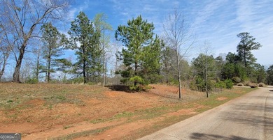 Discover the perfect setting for your dream home at 334 - photo 3