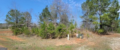 Discover the perfect setting for your dream home at 334 - photo 4