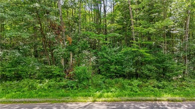 Introducing 13.07 wooded acres located west of Spooner in a - photo 5