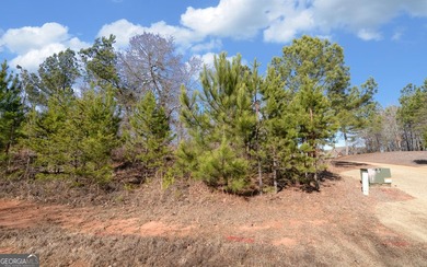 Discover the perfect setting for your dream home at 334 - photo 6