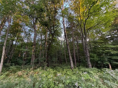 Introducing 13.07 wooded acres located west of Spooner in a - photo 6