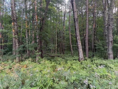 Introducing 13.07 wooded acres located west of Spooner in a - photo 7
