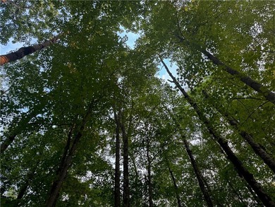 Introducing 13.07 wooded acres located west of Spooner in a - photo 8