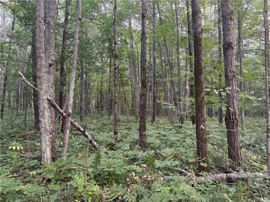 Introducing 13.07 wooded acres located west of Spooner in a - photo 9