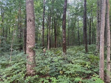 Introducing 13.07 wooded acres located west of Spooner in a - photo 10