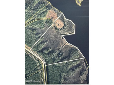 Lake Acreage For Sale in Scranton, North Carolina