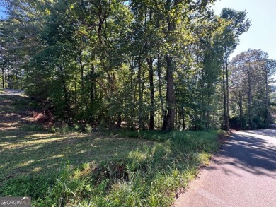 Lake Acreage For Sale in Ellijay, Georgia