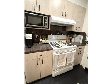 Totally Renovated Clearview One Bedroom (Lower Level, Square - photo 7