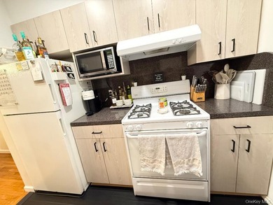 Totally Renovated Clearview One Bedroom (Lower Level, Square - photo 9