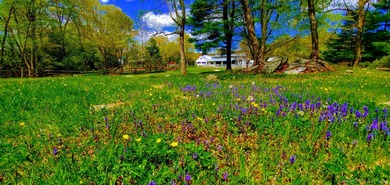 10.22 acres charming equine farm located right on Newtown bridle - photo 2
