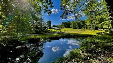 10.22 acres charming equine farm located right on Newtown bridle - photo 10