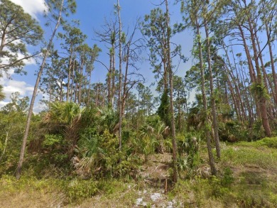 Port Charlotte Waterway Lakes Area Lot For Sale in Port Charlotte Florida