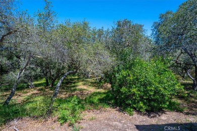 1382 Tourney Hill Ln - photo 27