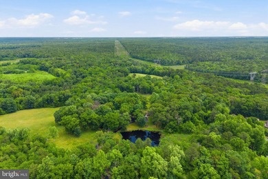 Includes Lot 01-00063-00041-QFARM 34.43 acres Welcome to 264 - photo 33