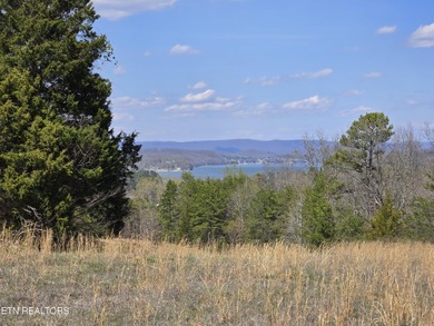 Watts Bar Lake Acreage For Sale in Kingston Tennessee