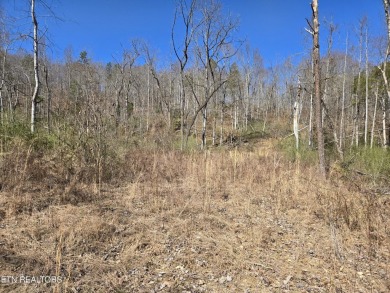 Lake Acreage For Sale in Speedwell, Tennessee