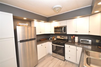Experience the charm of Lakeview Village in Boyne City, where - photo 16