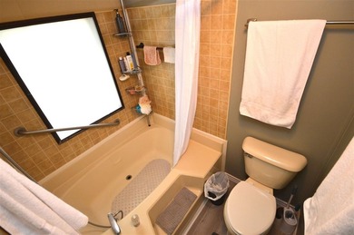 Experience the charm of Lakeview Village in Boyne City, where - photo 24