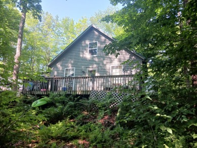 Fahi Pond Home For Sale in Embden Maine