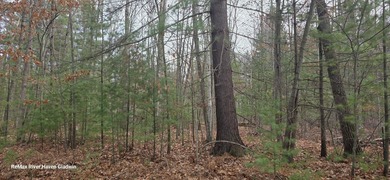 Ross Lake Acreage For Sale in Beaverton Michigan