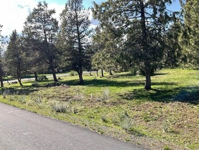 Upper Klamath Lake Lot For Sale in Klamath Falls Oregon