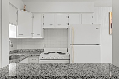 Spacious efficiency unit with ample closet space in a prime - photo 3