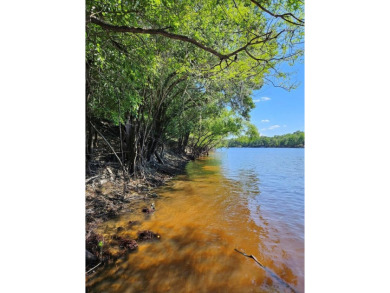 Lake Acreage Sale Pending in Bell, Florida