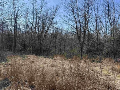Beautiful 0.87-acre corner lot located in the quiet cul-de-sac - photo 2