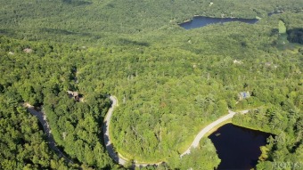 Lake Toxaway Acreage For Sale in Lake Toxaway North Carolina
