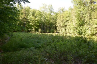 Lake Lot Off Market in Embden, Maine