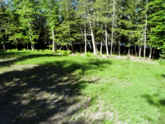 Lake Lot Off Market in Embden, Maine