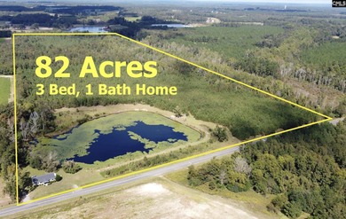 (private lake, pond, coastal) Home For Sale in Springfield South Carolina