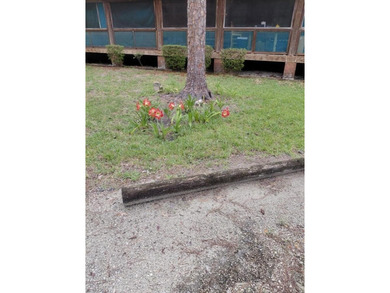 This 2-bedroom, 2-bathroom log cabin offers rustic charm. It is - photo 15
