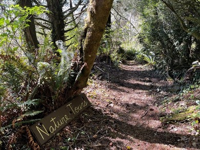Tucked away in a peaceful, tree-filled setting, this 0.75-acre - photo 15
