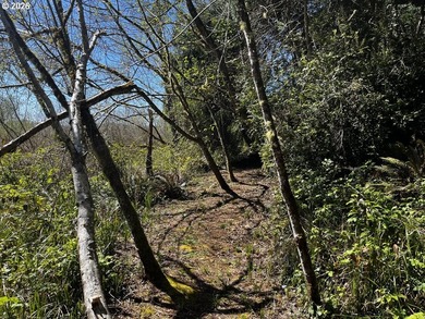 Tucked away in a peaceful, tree-filled setting, this 0.75-acre - photo 17