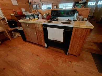 This 2-bedroom, 2-bathroom log cabin offers rustic charm. It is - photo 18
