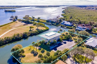 (private lake, pond, coastal) Home For Sale in Vero Beach Florida