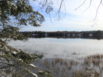 Squaw Lake - Oneida County Lot For Sale in Minocqua Wisconsin