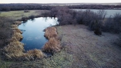 Highlights: -33.8 Acres (Surveyed Within The Last 30 Days) - photo 4