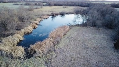 Highlights: -33.8 Acres (Surveyed Within The Last 30 Days) - photo 7