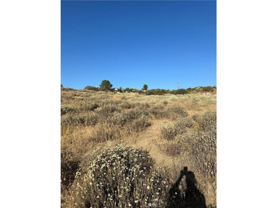 Meadowview Way - photo 11