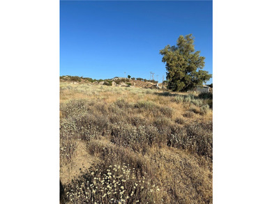 Meadowview Way - photo 14
