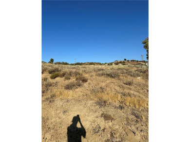 Meadowview Way - photo 15
