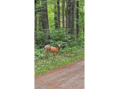 Grindstone Lake Lot For Sale in Hayward Wisconsin