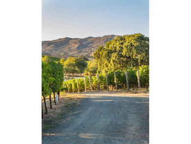 Krupp Brothers Estate is a remarkable 20-acre Napa Valley winery - photo 42