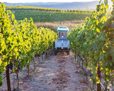 Krupp Brothers Estate is a remarkable 20-acre Napa Valley winery - photo 47